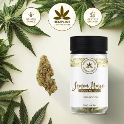 Lemon Haze CBD Flower (12g) - Hempline