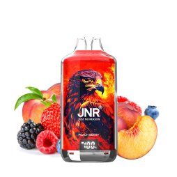 28000 Puff Falcon-X 20mg - JNR