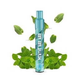 Starter Kit 800 Puffs 9mg - Wpuff 2.0 by Liquideo