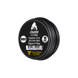 Fused Clapton Coils Ni80 0.38Ω (10pcs) - Thunder Cloud x Mike Vapes