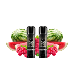 Cartouches Pré-Remplies Elfa Pro 20mg 2ml (2pcs) - Elfbar