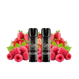 Cartouches Pré-Remplies Elfa Pro 20mg 2ml (2pcs) - Elfbar