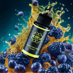 Raspberry Blackcurrant 0mg 100ml - DotMod