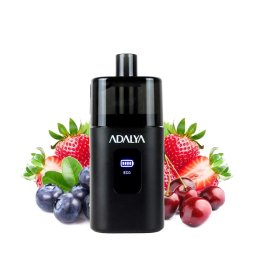 Starter Kit Myvo 30K 1300mAh 10ml / 8% - Adalya