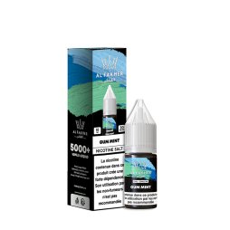 Gum Mint Nic Salt 20mg 10ml - Al Fakher