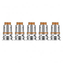 Résistances Mesh P 0.2/0.4Ω (5pcs) - Geekvape